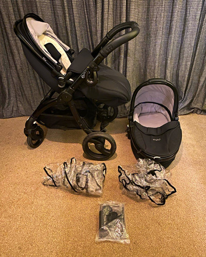 Egg travel system - egg,